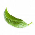 leaves_2.png